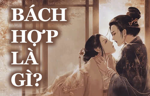 bách hợp là gì?